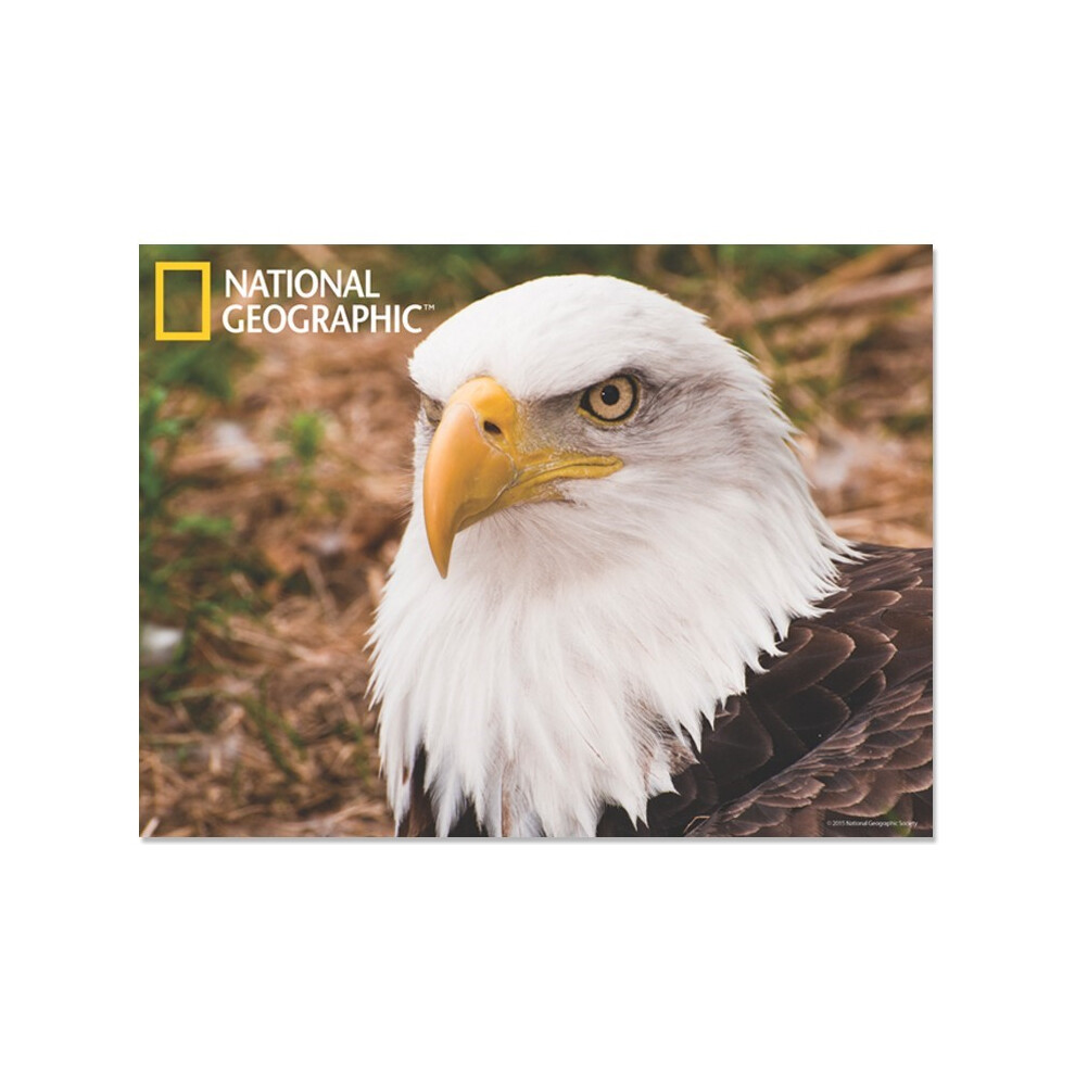 National Geographic Bald Eagle Prime 3D Postcard