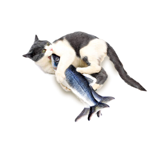 JML JML Flippity Fish