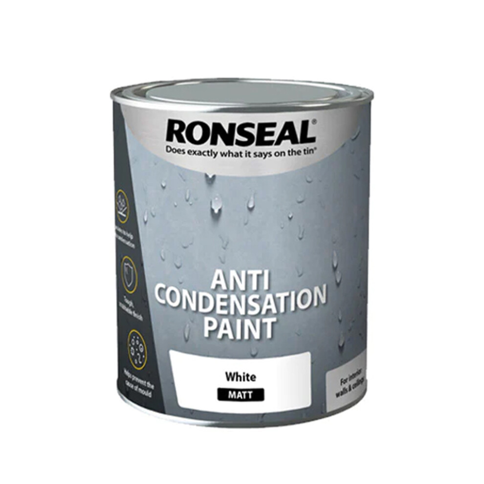 Ronseal Anti-Condensation Paint Matt White 750ml