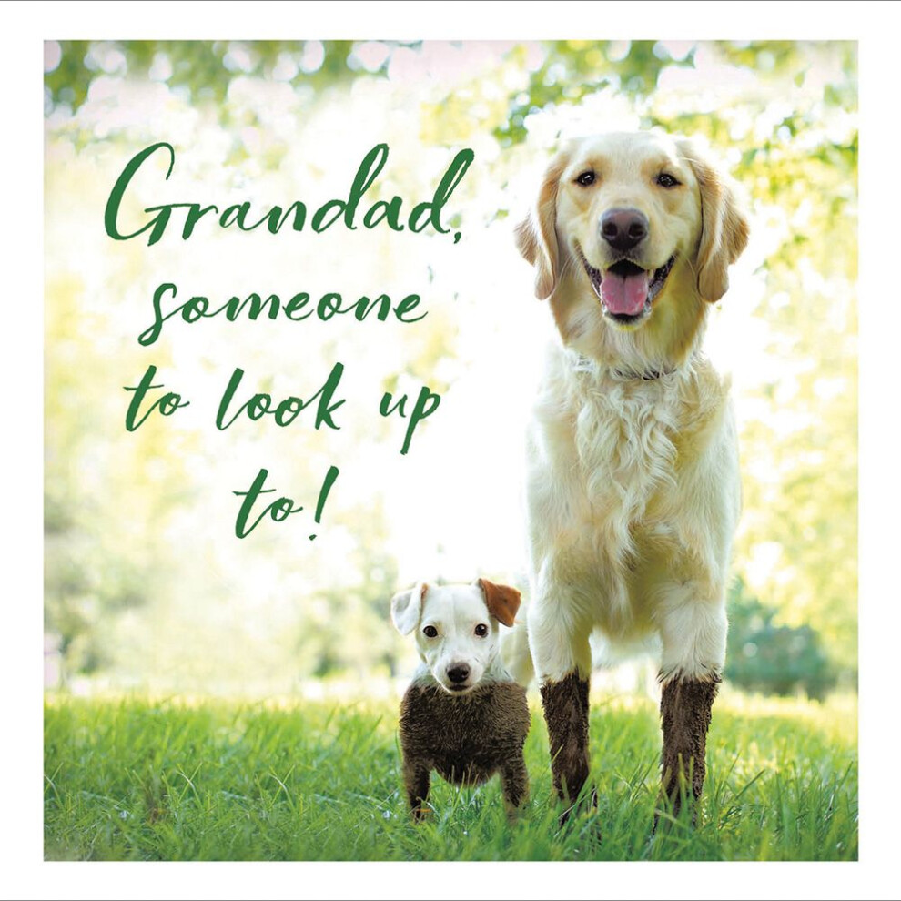 Woodmansterne Grandad Loose Leashes Happy Father's Day Greeting Card Fathers Day Cards
