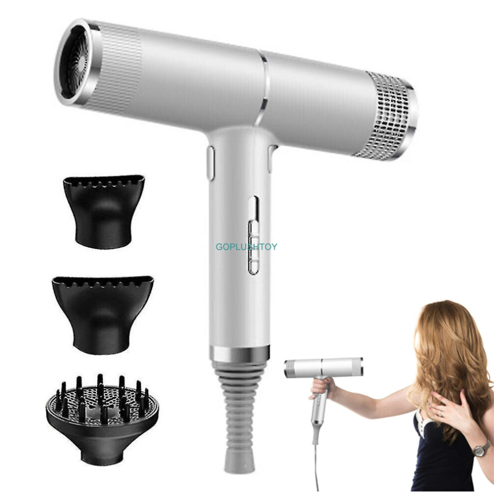 Hair Dryer Blower Negative Ionic Styler Diffuser Home Salon Fast Dry