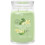 Yankee Candle Yankee Candle - Vanille Limette (567g) 1
