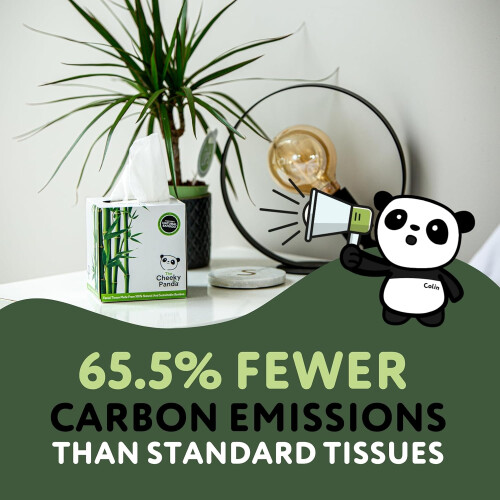 The Cheeky Panda The Cheeky Panda Bamboo Facial Tissues 12 Cube Tissue Boxes Soft Face Tissues Plastic Free Tissues Box Multipack 2