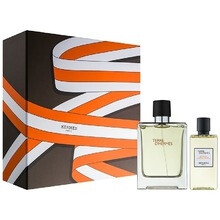 TERRE D'HERMES by Hermes EDT SPRAY 3.3 OZ & HAIR AND BODY GEL 2.7 OZ