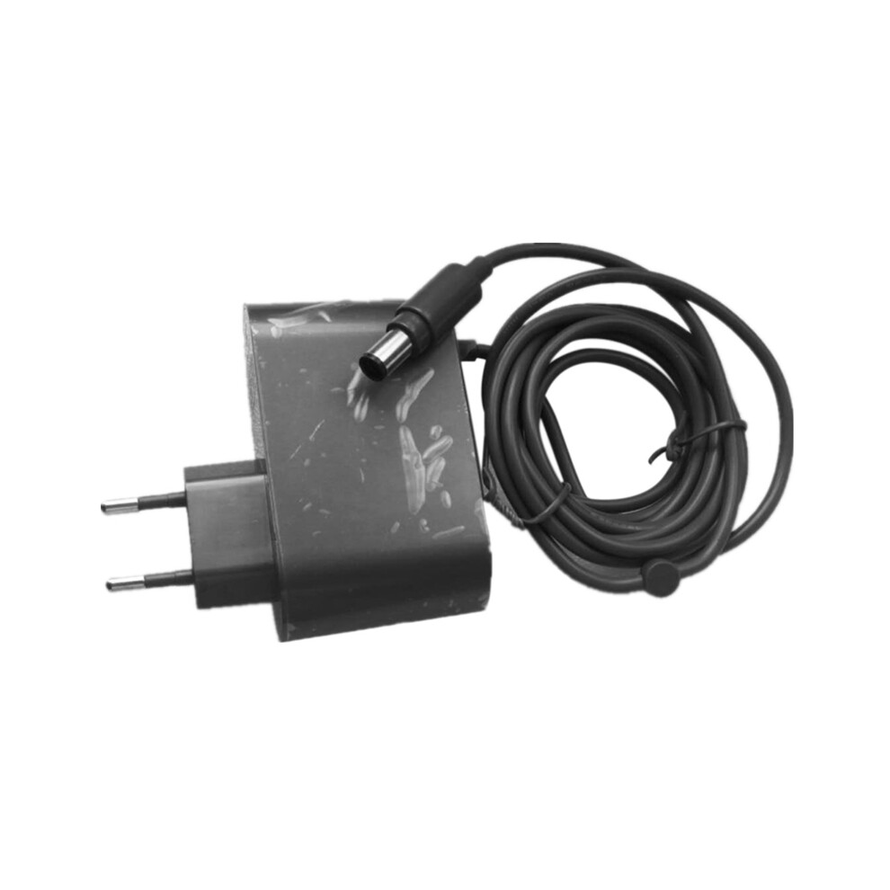 AD-Power Charger Adapter for Dyson DC30 DC31 DC34 DC35 DC44 DC45 DC56 DC57 Vacuum Cleaner Robot Parts Accessories EU Plug-image-OPC-PDY9FYT-NEW