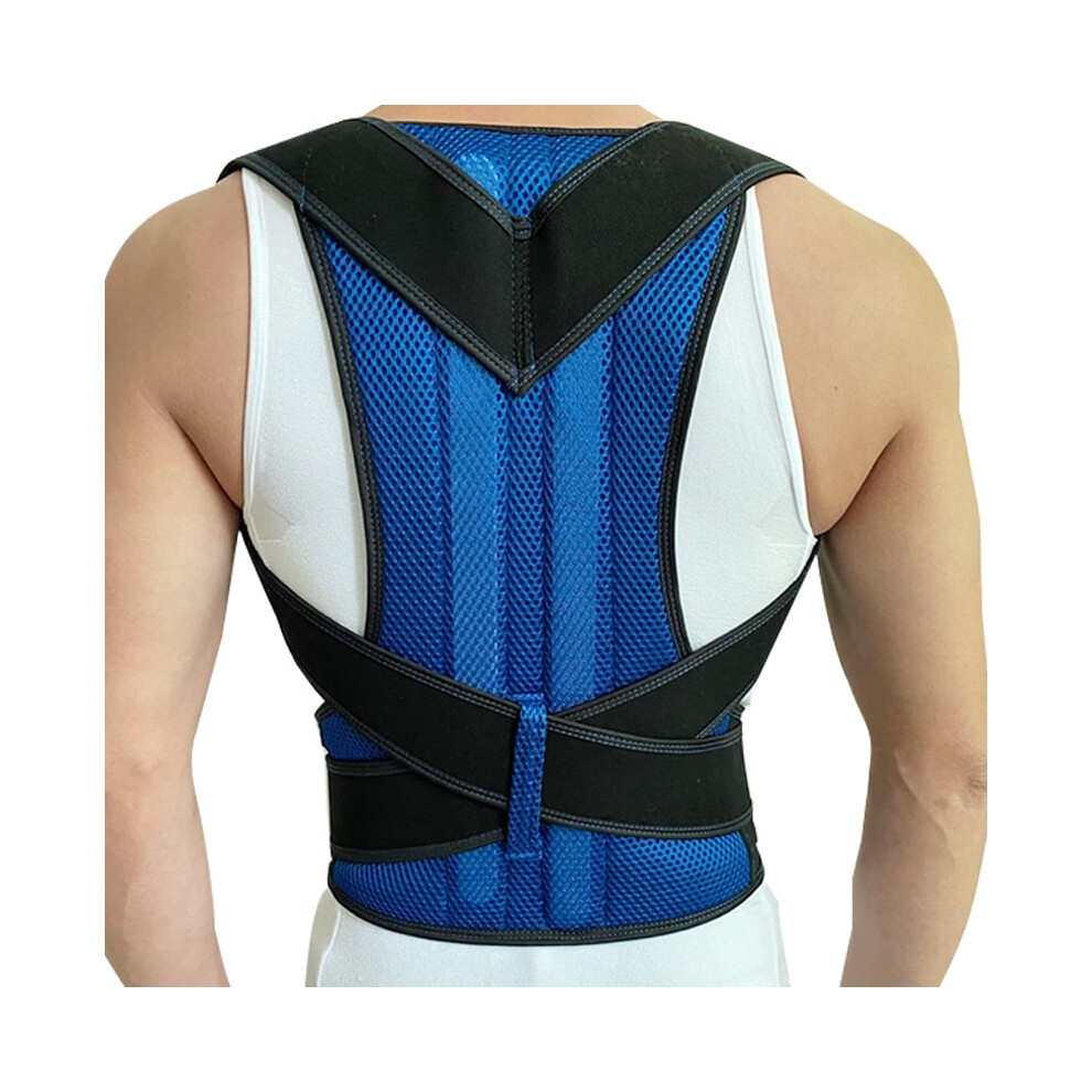 Blue (L, ) Adjustable Posture Corrector For Men And Women - Improve Your Posture While Sitting - Shoulder Brace For Humpback Correction