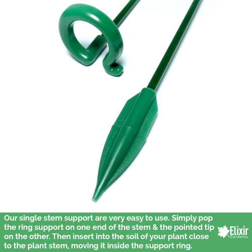 Elixir Garden Supplies (37cm, 10) Single Stem Plant Supports 2