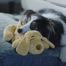 JML Huggie Pup