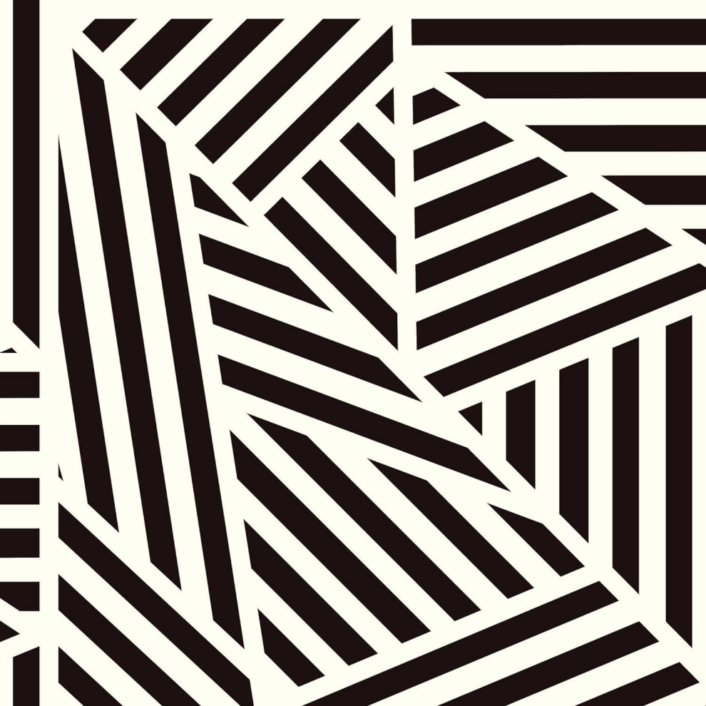 Arthouse Zebra Geometric Black White Wallpaper Modern Stylish