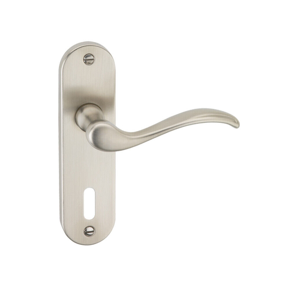 (Satin Nickel Keyhole) Metal Lever Latch Door Handles Set Round Rose