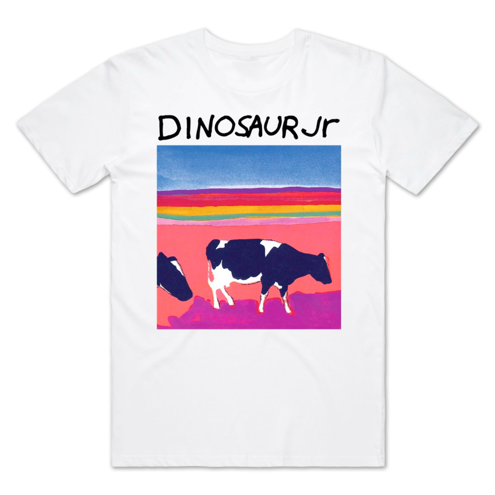 (XL) Dinosaur Jr Without a Sound T-shirt S