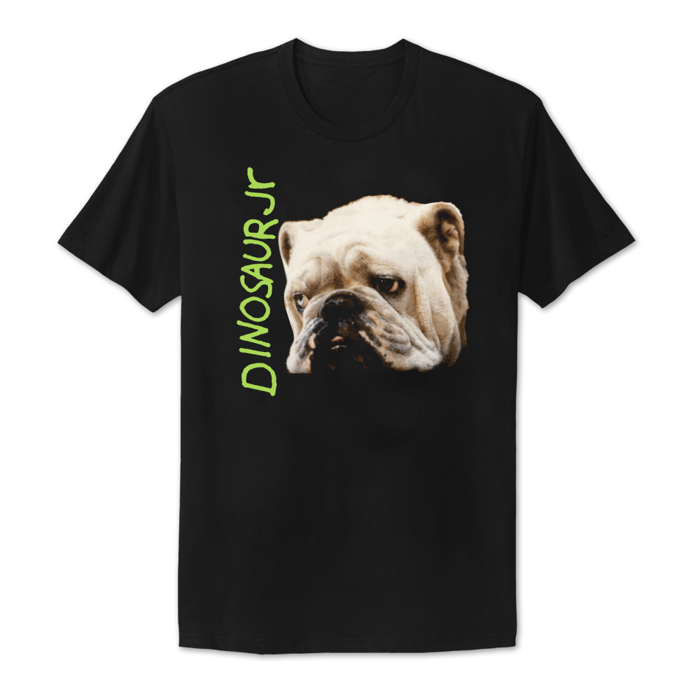 (L) Dinosaur Jr Whatever's Cool With Me T-shirt S