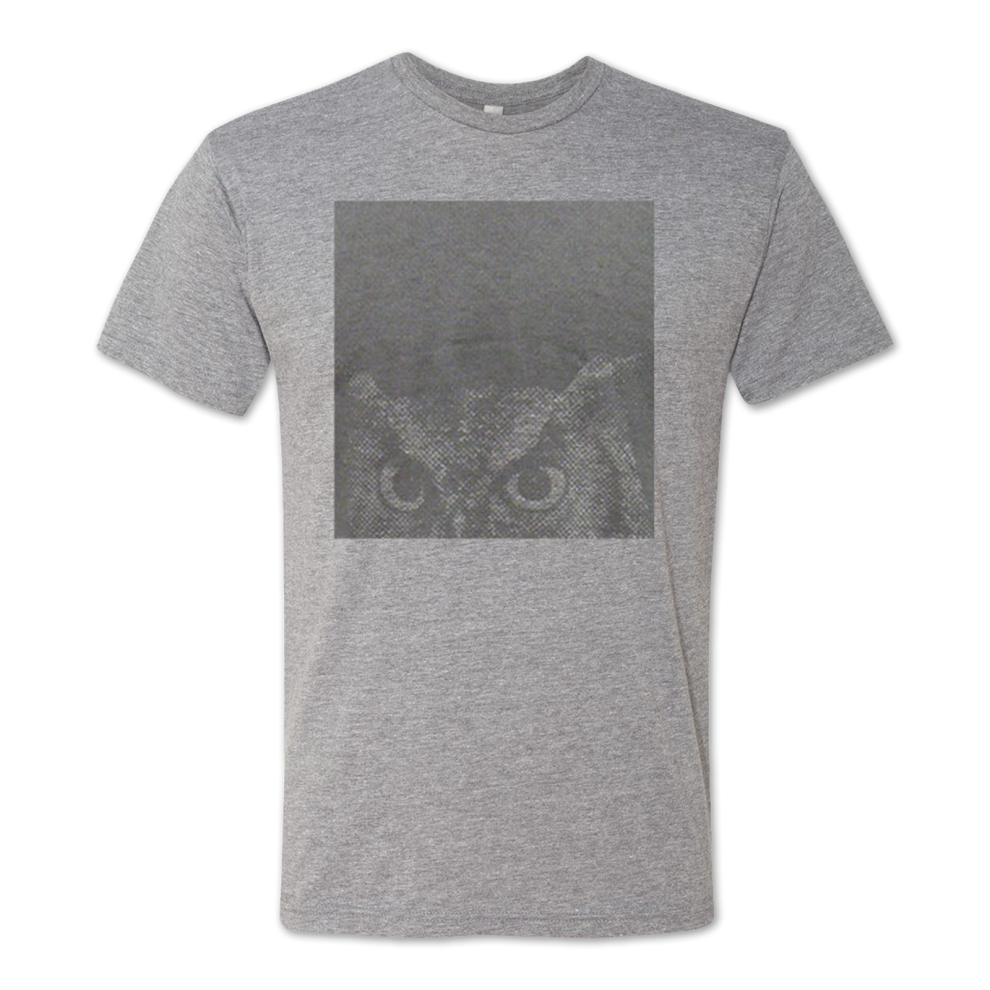 (XXL) Chris Thile Owl Tee S