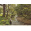 Refurbished Sidmouth Byes 2