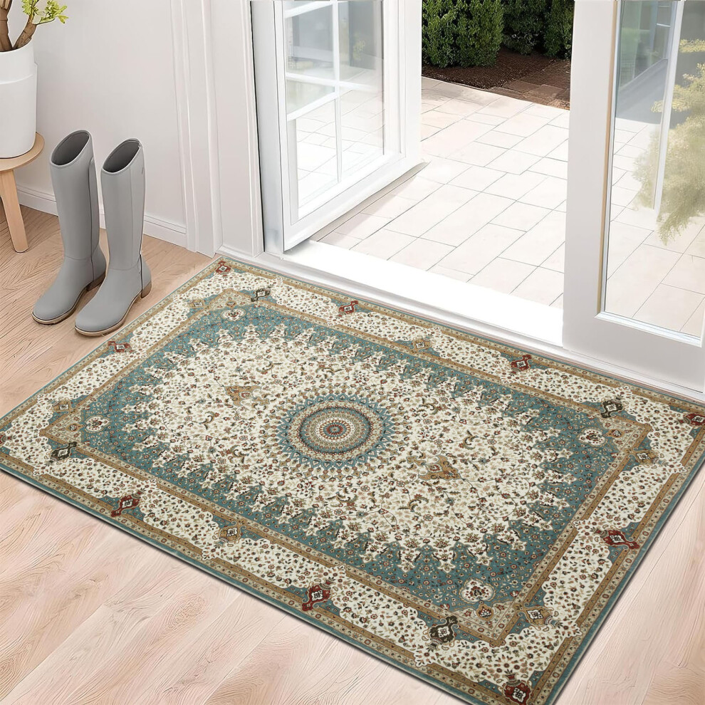 (60 cm x 110 cm (2ft x 3ft 7")- Door Mat, Willow- Cashmere Rug) Extra Large Rugs Living Room Traditional Rug Mat