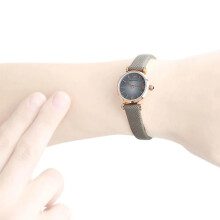 Armani Ladies Watch Gianni T-Bar Mini AR1727 Grey Dial Grey Strap