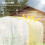 Outsunny Outsunny 3 x 2 x 2m Polytunnel Greenhouse with Door, Galvanised Steel Frame 3