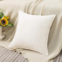 (White, 16 x 16 in) 2X Velvet Plush Plain Cushion Cover Pillow Cases Sofa Decor 12-16-18-20-24