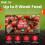 Tomato Grow Bag Planter Peat Free Enriched Compost 3