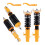 Sada coiloverů pro Mini R50, R53, R52 – Cooper S, Cooper Hatch, Convertible 3