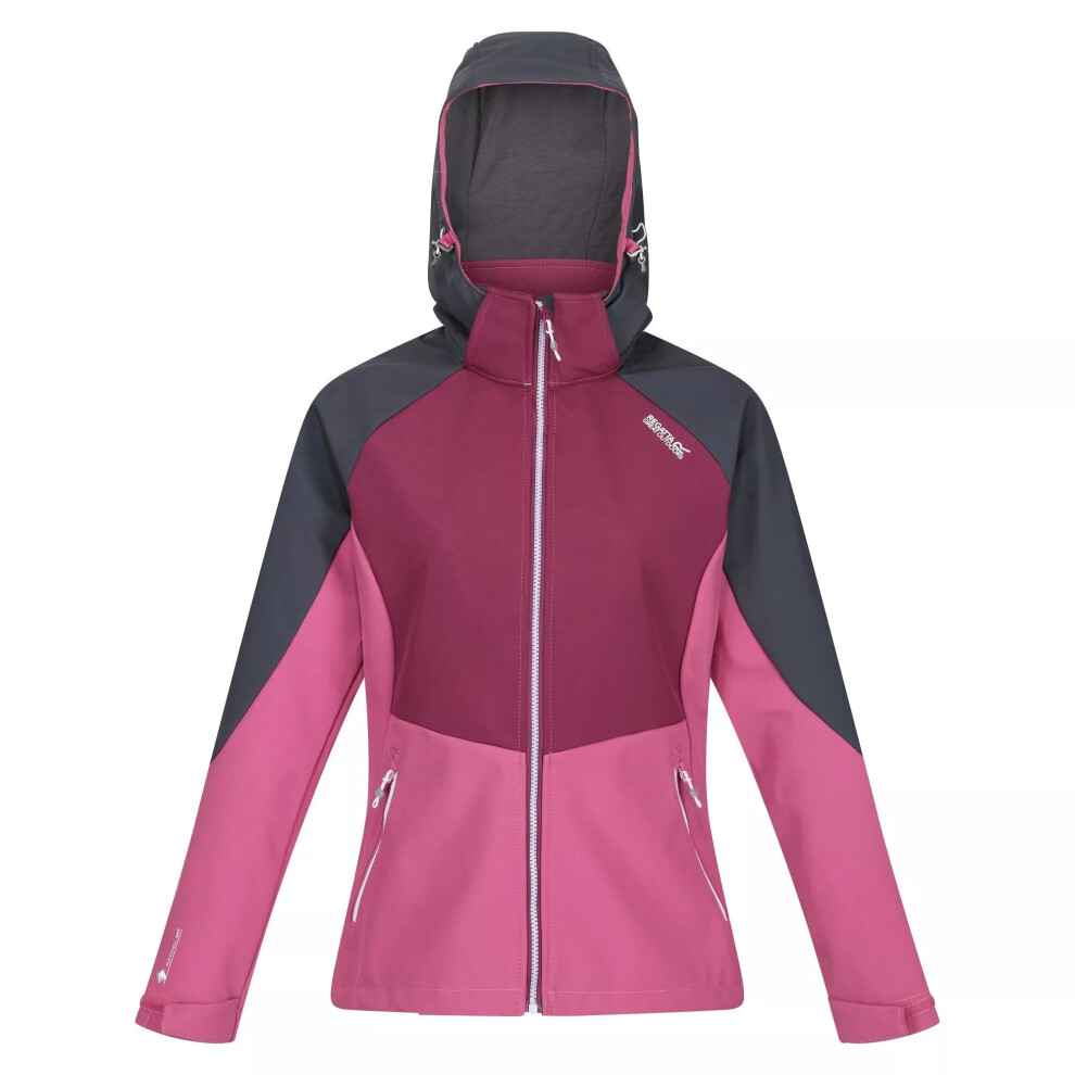 (8 UK, Seal Grey/Amaranth Haze/Violet) Regatta Womens/Ladies Desoto VIII Lightweight Jacket