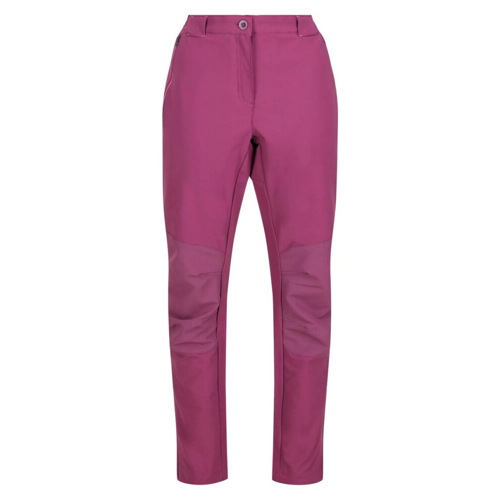 (20 UK, Amaranth Haze) Regatta Womens/Ladies Questra IV Stretch Hiking Trousers