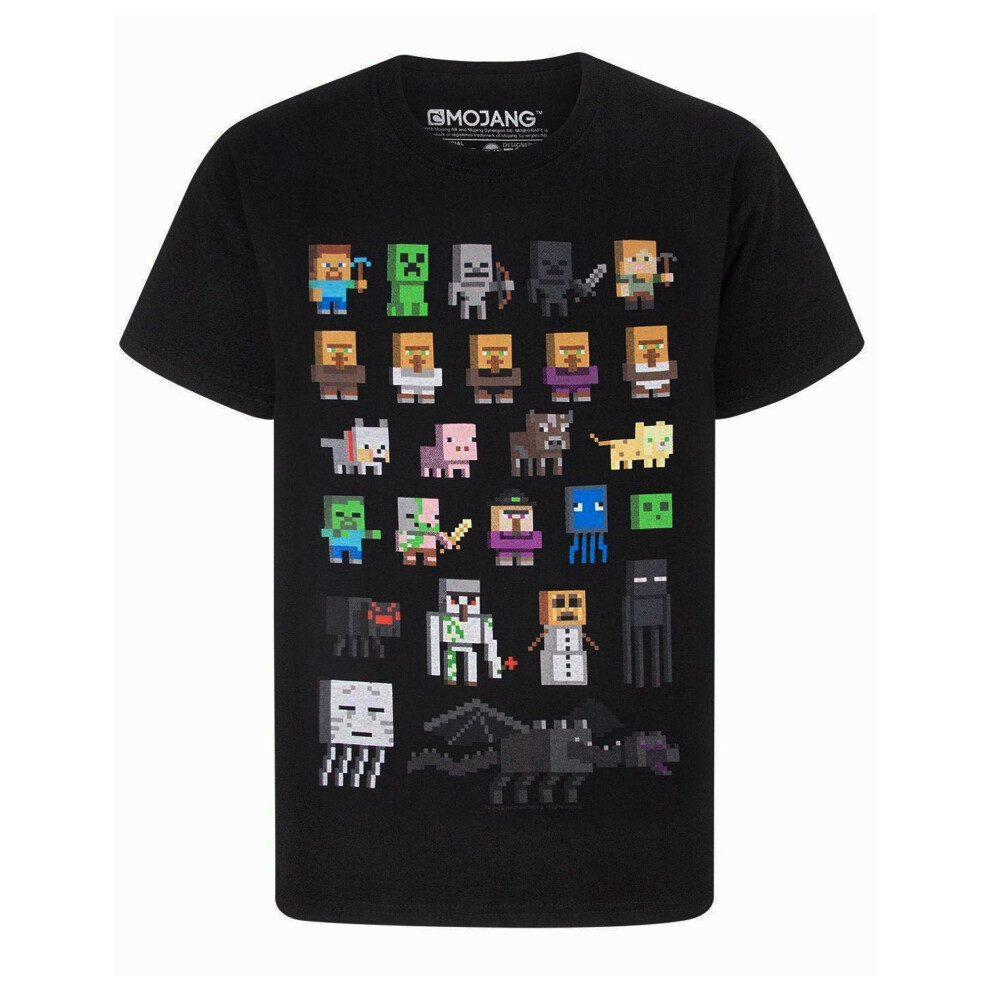 (14-15 Years, Black) Minecraft Childrens/Kids Sprites T-Shirt