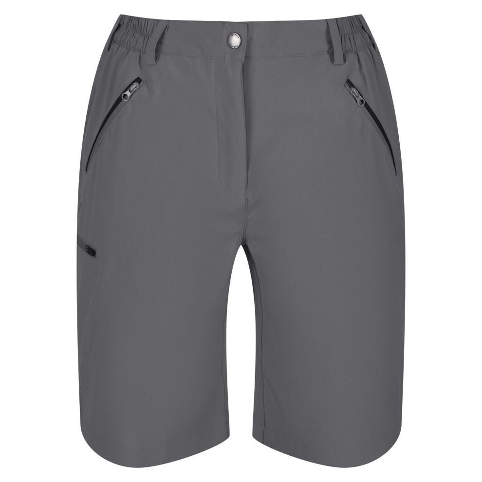 (42R, Seal Grey) Regatta Womens/Ladies Xert Stretch Shorts
