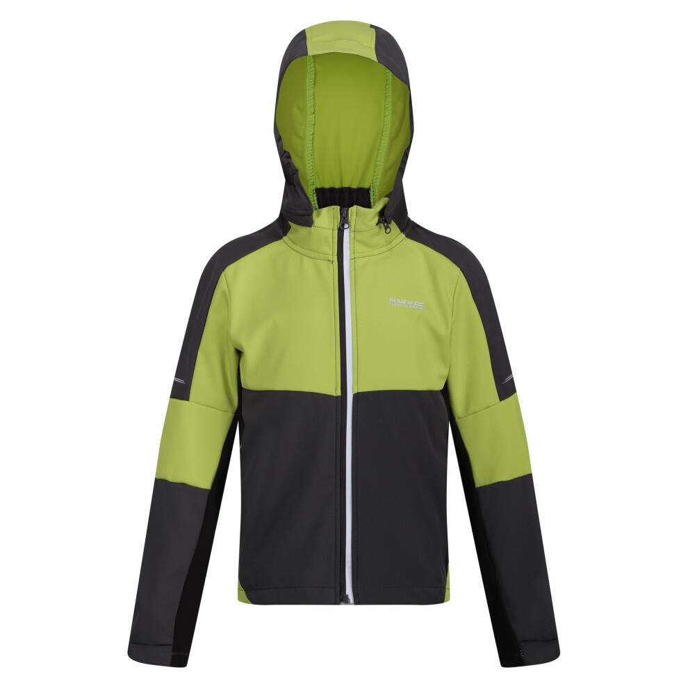 (14 Years, Seal Grey/Green Algae) Regatta Childrens/Kids Acidity VI Lightweight Soft Shell Jacket