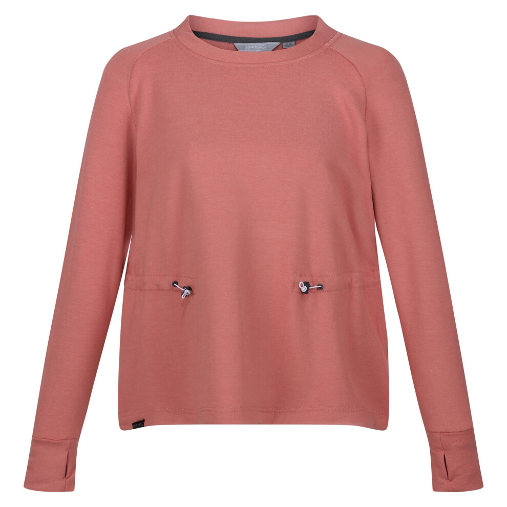 (16 UK, Terracotta) Regatta Womens/Ladies Narine Marl Sweatshirt