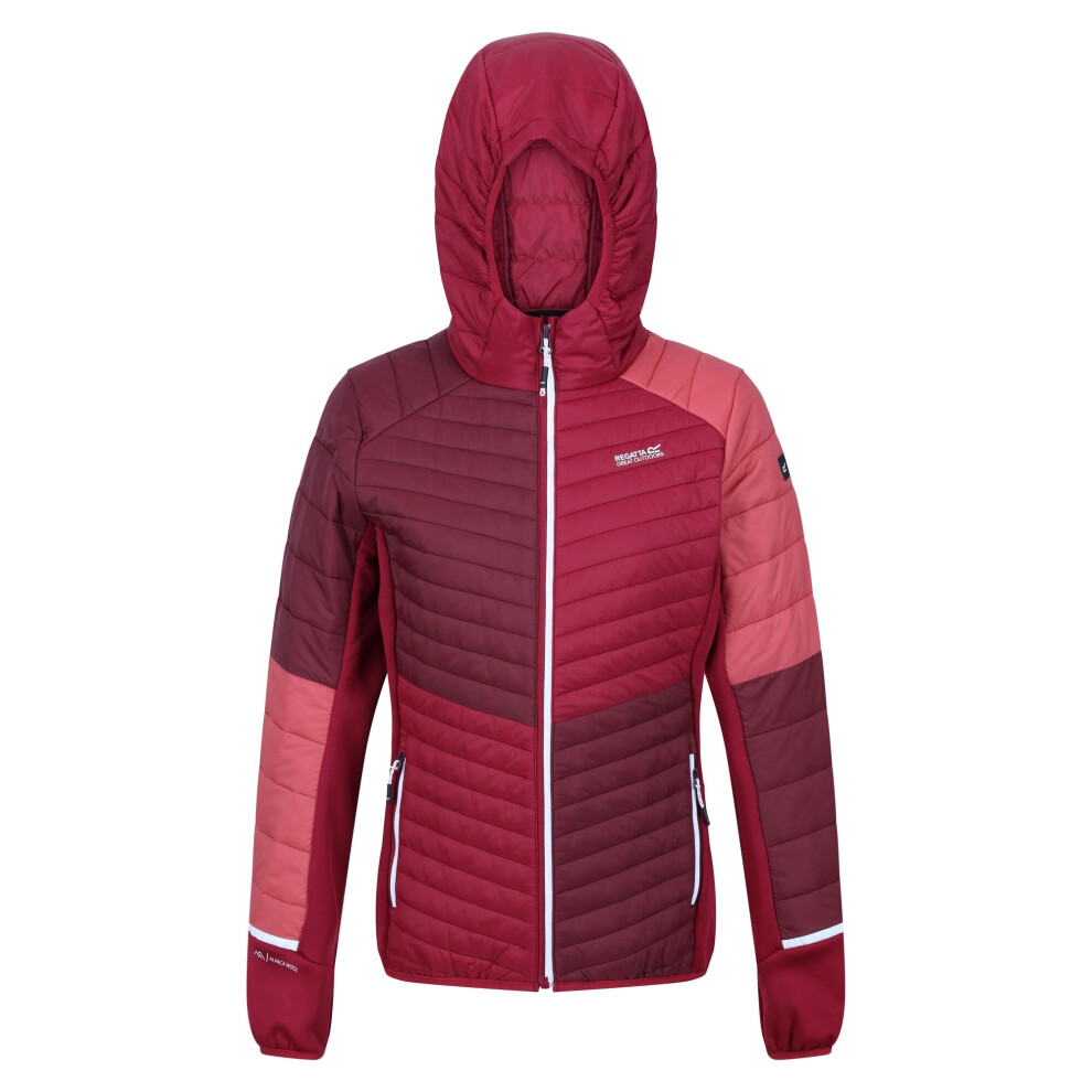 (16 UK, Burgundy/Rumba Red) Regatta Womens/Ladies Trutton II Baffled Hooded Jacket