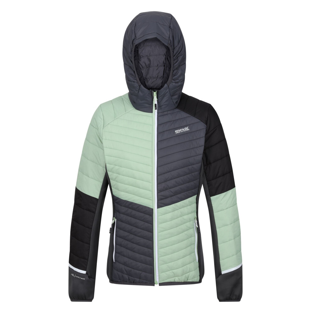 (18 UK, Quiet Green/Seal Grey) Regatta Womens/Ladies Trutton II Baffled Hooded Jacket