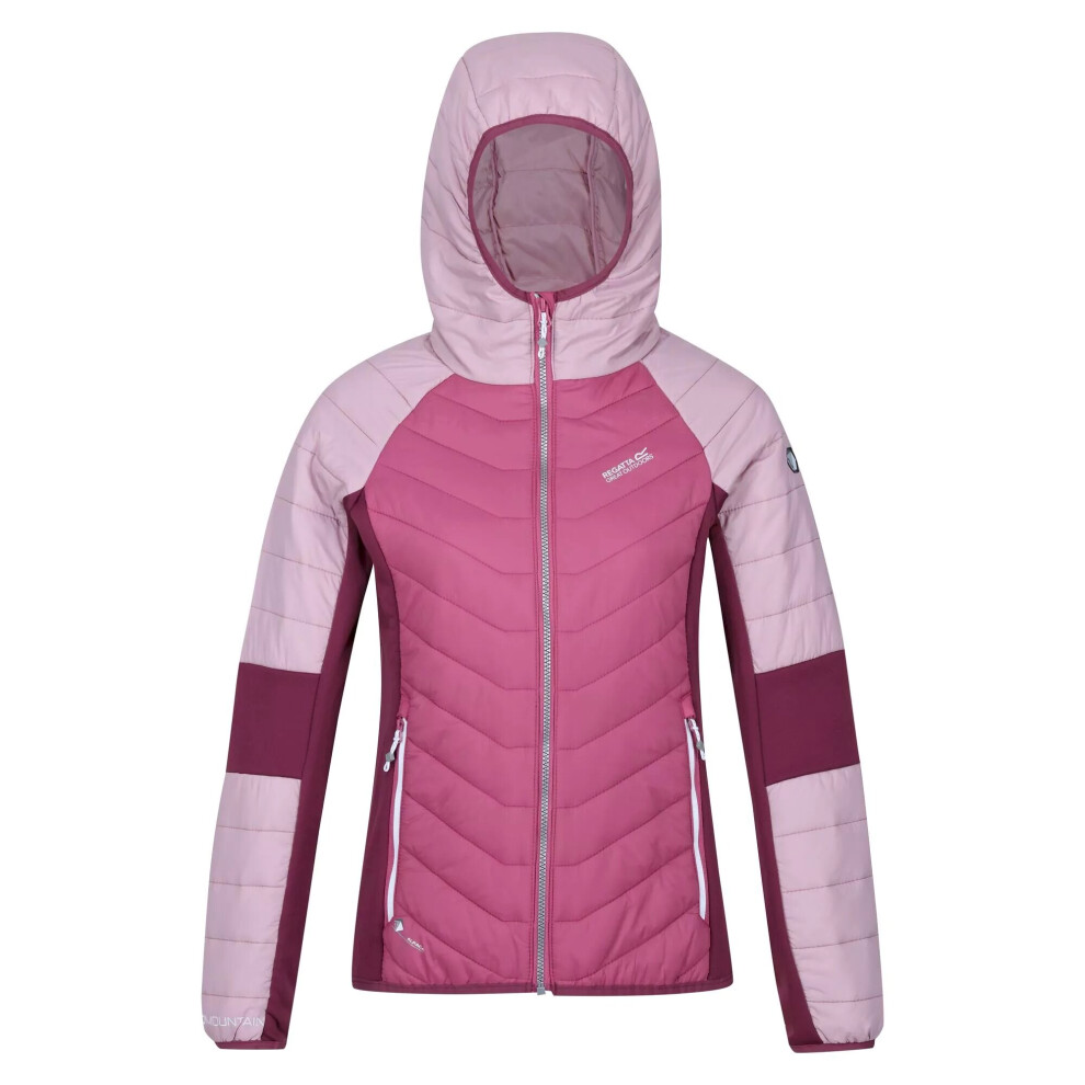 (18 UK, Violet/Fragrant Lilac/Amaranth Haze) Regatta Womens/Ladies Trutton Lightweight Padded Jacket