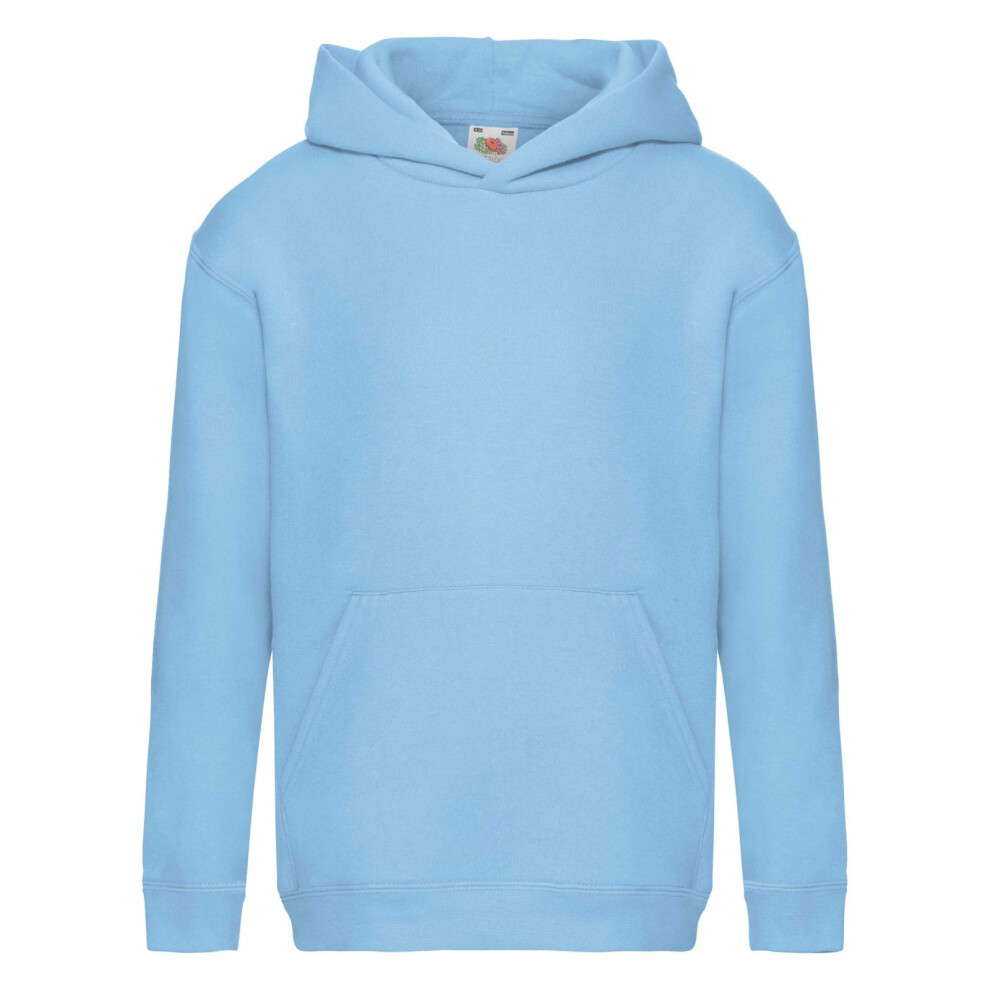 Premium 70 30 Hooded Sweatshirt Hoodie