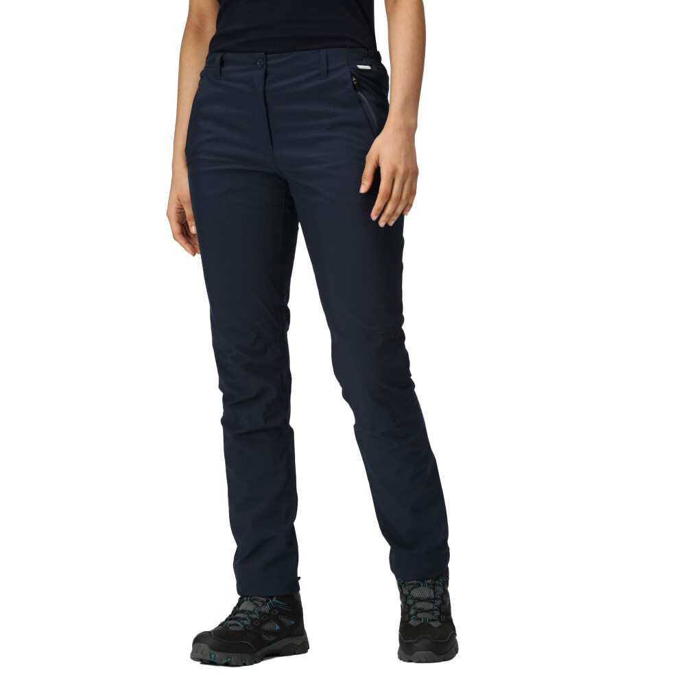 (14 UK L, Navy) Regatta Womens/Ladies Dayhike IV Hiking Trousers