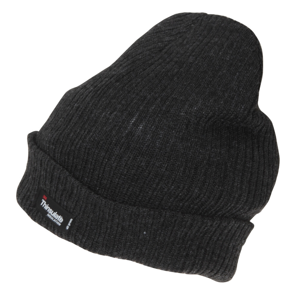 (One Size, Grey) Mens 3M Thinsulate Beanie