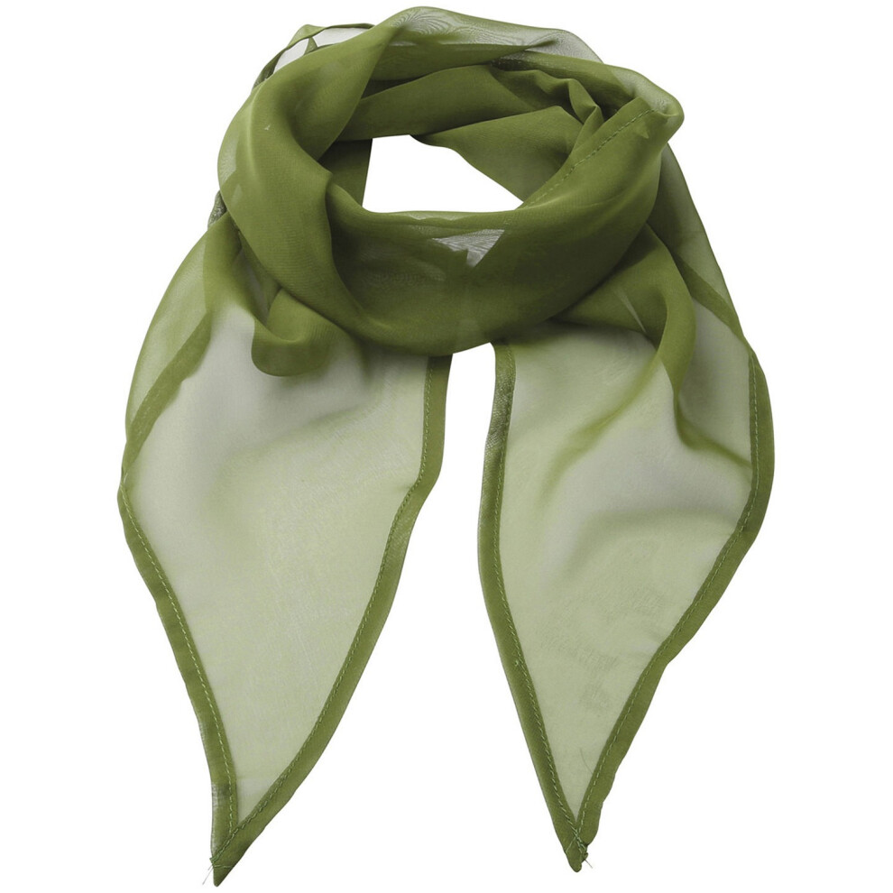 Colours Chiffon Scarf