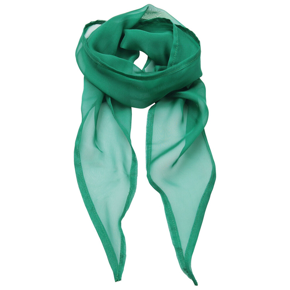 Colours Chiffon Scarf