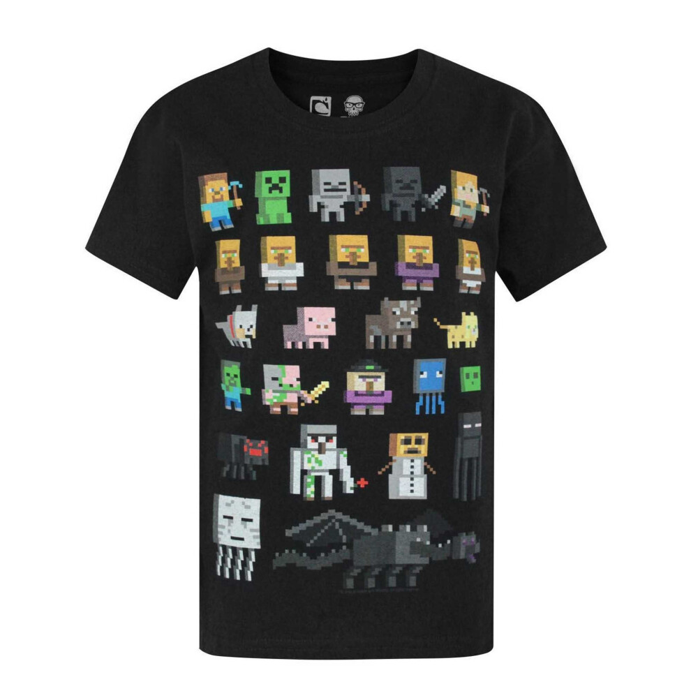 (12-13 Years, Black) Minecraft Official Boys Sprites Characters T-Shirt