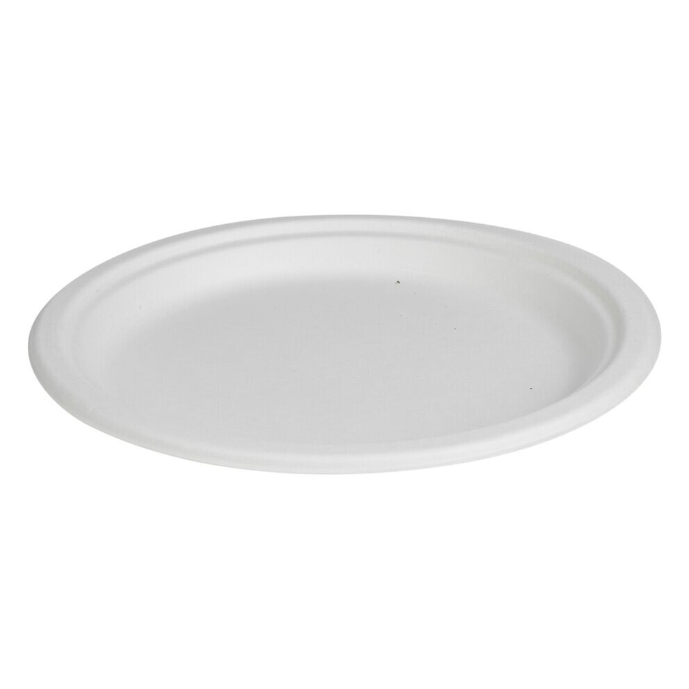 (50, 9" Plates) White Disposable Paper Bowls Plates Biodegradable