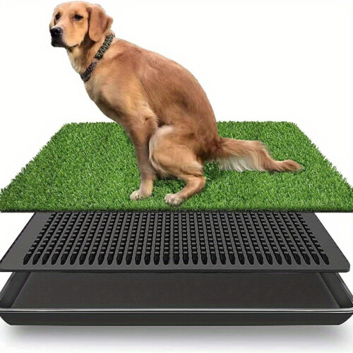 Dog pee tray hotsell