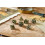 Games Workshop Pathfinder Dice Set Strange Arcadia (7) - Board Game 2