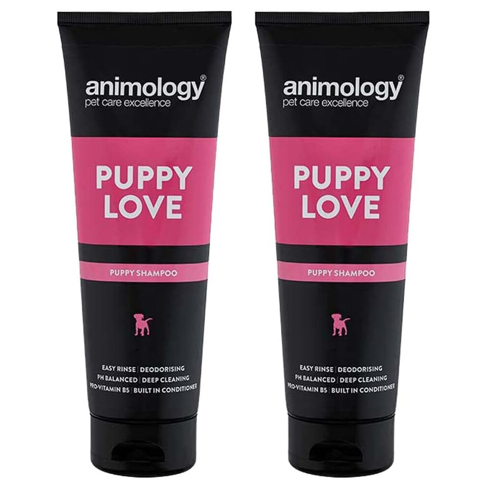 Animology Puppy Love Mild Dog Shampoo, 250ml, Twin Pack