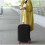 M Trizand suitcase cover 23839 15
