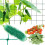 Netz - Pflanzenstütze 2x10m Gardlov 23978 1