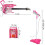 Guitar + microphone + amplifier rose 22407 3