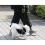 Automatic dog leash 8m/50kg Purlov 19786 10