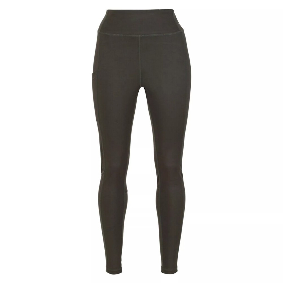 (16 UK, Grape Leaf) Regatta Womens/Ladies Holeen II Leggings