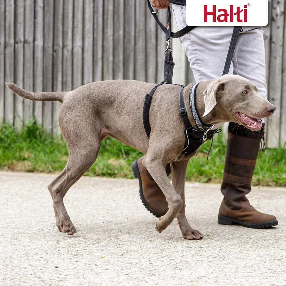 Company of Animals HALTI No Pull Harness Dog Harness Easy to Use Anti Pull Training Aid Adjustable Reflective and Breathable For Large Dogs Black on OnBuy