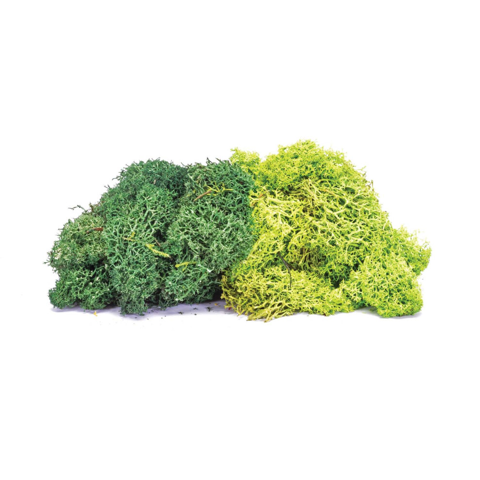 Hornby R7195 Lichen - Large Green Mix OO Gauge